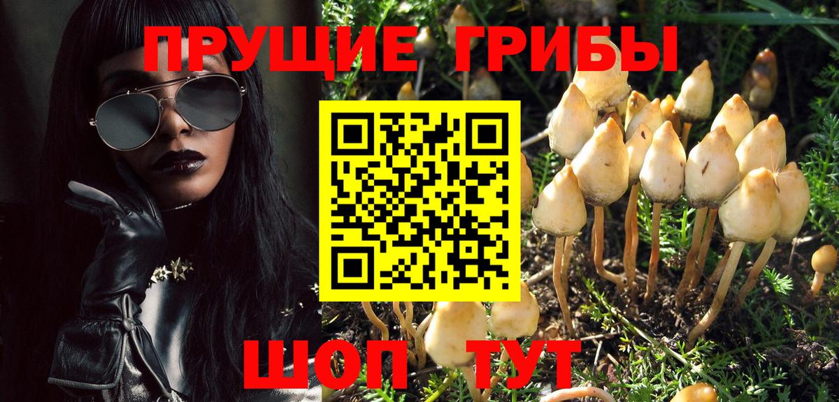 Минеральные Воды  Псилоцибиновые грибы Cubensis  Вход с VPN 